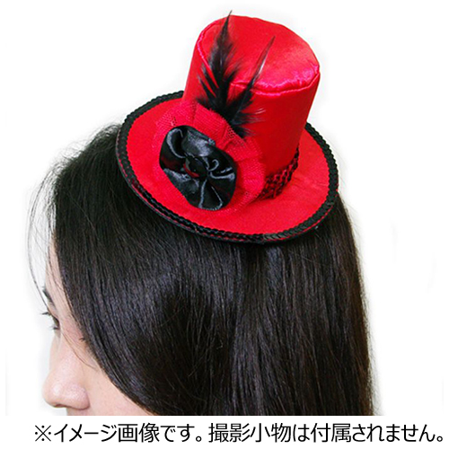 エクセルポイント DXヘアクリップ シルクハット 6316 レッド｜【ハンズ