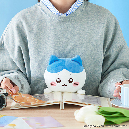 ドリームズ ふんばるず ハチワレ｜【ハンズネットストア】
