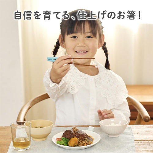 エジソンママ（EDISONmama） 天然木のお箸 ブルー｜【ハンズネットストア】
