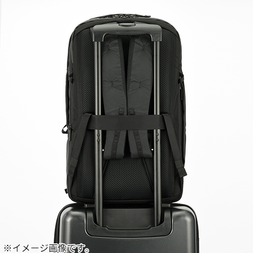 エース ジーンレーベル（ace.GENE LABEL） ラグレンティスX バック