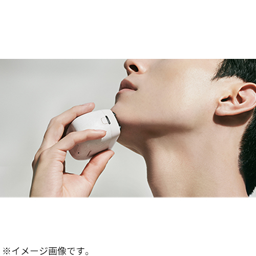 パナソニック（Panasonic） ラムダッシュ パームイン ES－PV6A－W