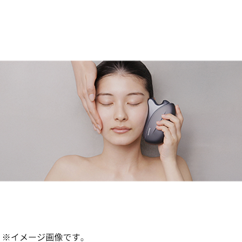 パナソニック（Panasonic） バイタリフト（VITALIFT） かっさ EH－SP86