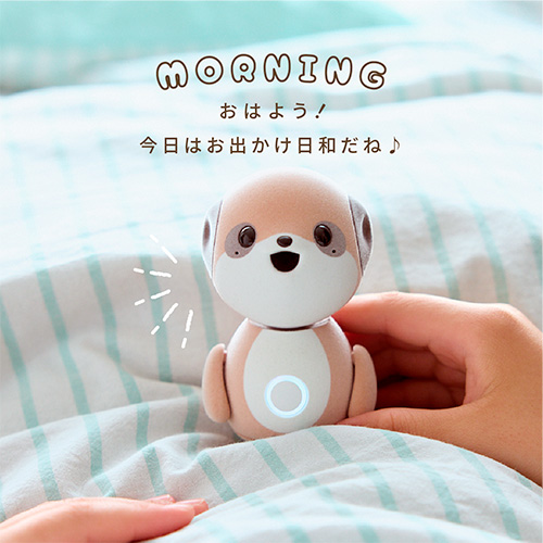 シャープ ポケとも SR－C01M－W 【取寄商品】順次発送｜【ハンズネット