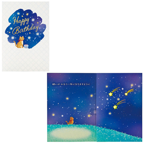 ❤︎さま専用 サンリオ 誕生日祝い ライト＆メロディー 夜空とネコ 184136｜【ハンズ