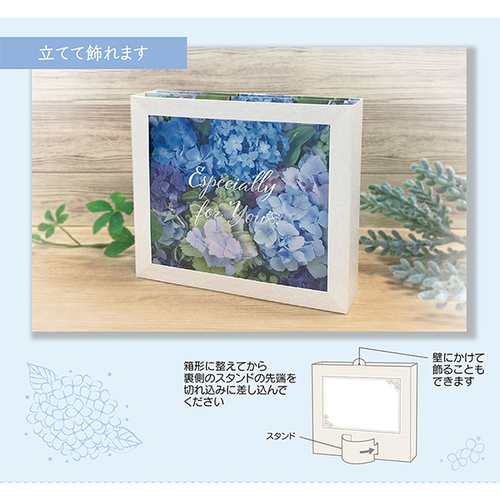 アジサイ アジサイ：アフターミッドナイト5号鉢植え の通販 | 園芸ネット