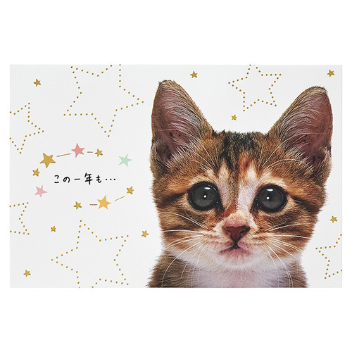 AHOF JUMP UP 2/8 フォトイベント トレカ キティ 猫 サンリオ 誕生日祝い フォト ネコの顔 878928｜【ハンズネットストア】