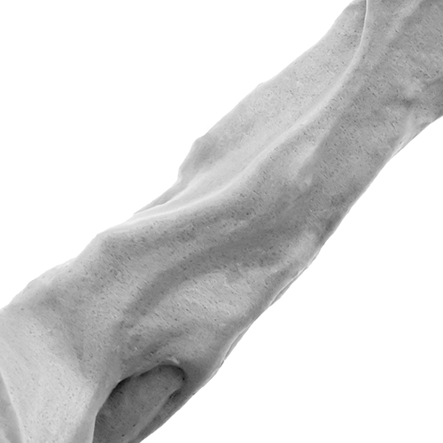 専門32本 セット Mocchi Skin グラフィこ2袋 モッチスキン 吸着泡洗顔 150g モッチスキン Mocchi SKIN ジェイ