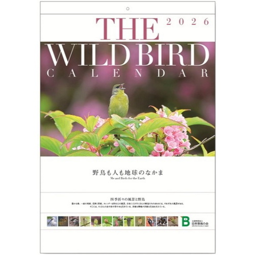 2026年版・壁掛】 日本野鳥の会 ワイルドバードカレンダー 5011