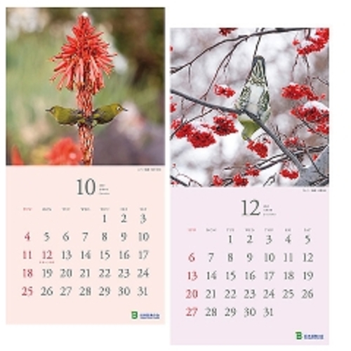 2026年版・壁掛】 日本野鳥の会 しあわせことりカレンダー 5013