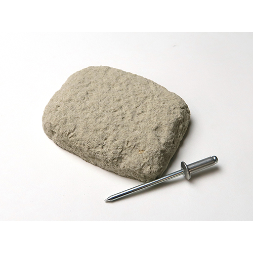 東京サイエンス 化石発掘クリーニングセット 中生代編｜【ハンズネット