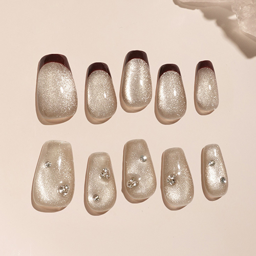 エーネイル（Anail） ネイルチップ Rouge Glint 【店頭のみ商品