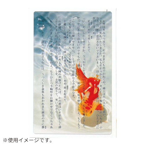 しおり ハイタイド（HIGHTIDE） 透明写真栞 AND001 K｜【ハンズネット