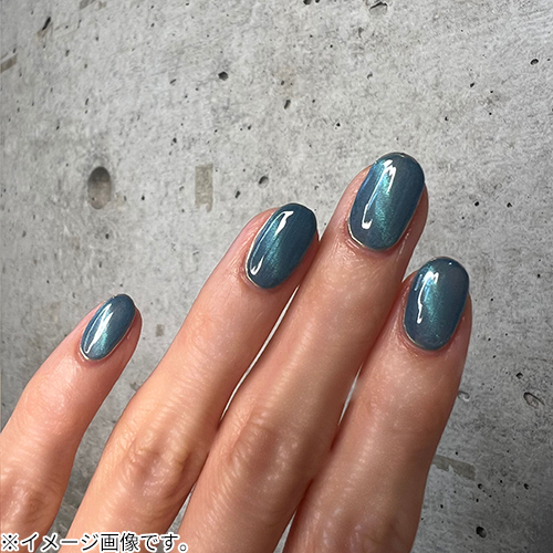 プラネットネイル（PLANET NAIL） 新感覚マグネットネイル PLM06