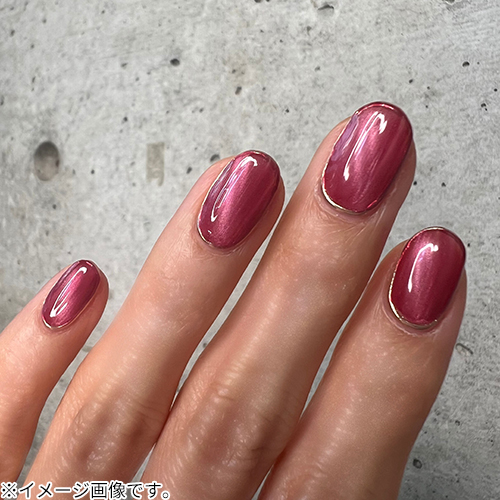 全色セット特典付 全色セット特典付 マグネットネイル 水光ネイル RP