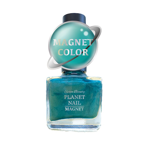 全色セット特典付 全色セット特典付 マグネットネイル 水光ネイル RP