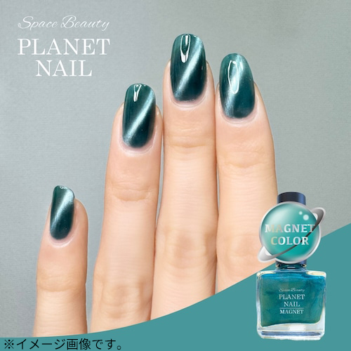 プラネットネイル（PLANET NAIL） マグネットシリーズ PLM09 セレブ