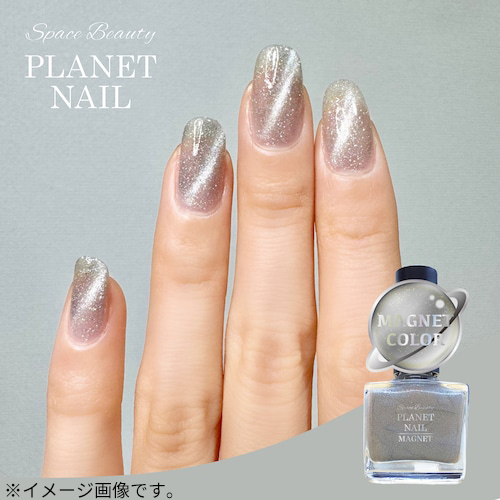 プラネットネイル（PLANET NAIL） マグネットシリーズ PLM12