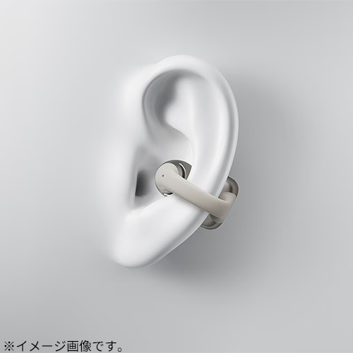 Shokz OpenDots ONE SKZ-EP-000053 グレー Shokz OpenDots ONE SKZ-EP-000053 [グレー] 価格比較 - 価格.com