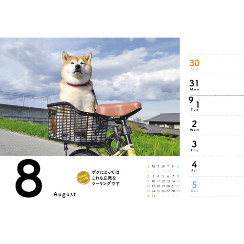 2026年版・卓上】 中央経済社 週めくり 柴めくり CK－D26－03