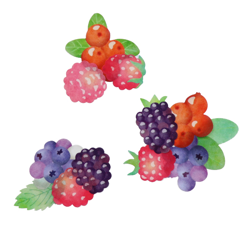 Bande a285 ミックスベリー シール マスキングテープ 東急ハンズネットストア