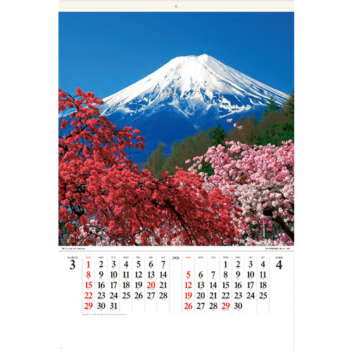 2026年版・壁掛】 全協 フィルム 富士山 SB-250｜【ハンズネットストア】