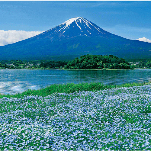 2026年版・壁掛】 全協 フィルム 富士山 SB-250｜【ハンズネットストア】
