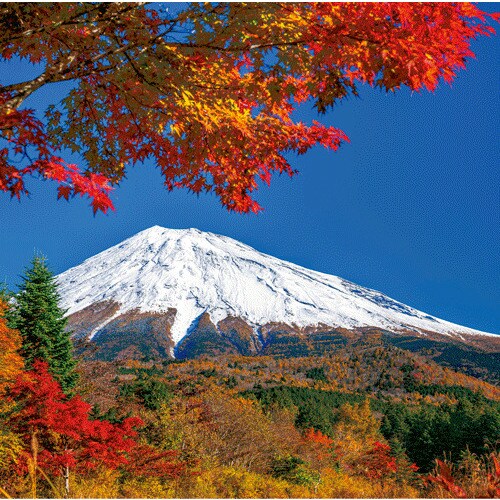 2026年版・壁掛】 全協 フィルム 富士山 SB-250｜【ハンズネットストア】