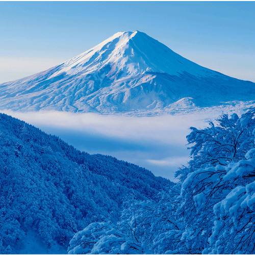 2026年版・壁掛】 全協 フィルム 富士山 SB-250｜【ハンズネットストア】