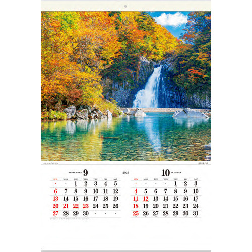 2026年版・壁掛】 全協 フィルム 四季の彩 SB-279｜【ハンズ