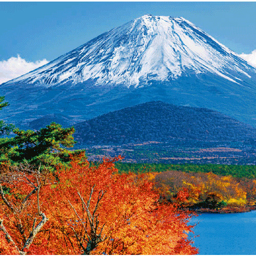 2027年版・壁掛】 全協 フィルム 富士山 SB-250｜【ハンズネットストア】