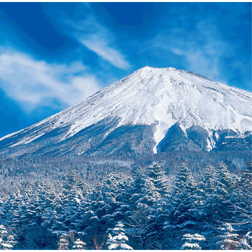 2027年版・壁掛】 全協 フィルム 富士山 SB-250｜【ハンズネットストア】