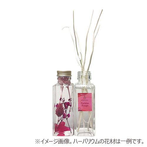 ＜東急ハンズ＞ MODERN NOTES（モダンノーツ） ハーバリウム×リードディフューザーセット パリジャンルージュ 95mL