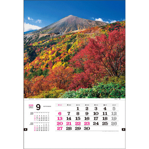 2026年版・壁掛】 全協 フィルム 日本の美 TD-565｜【ハンズネットストア】