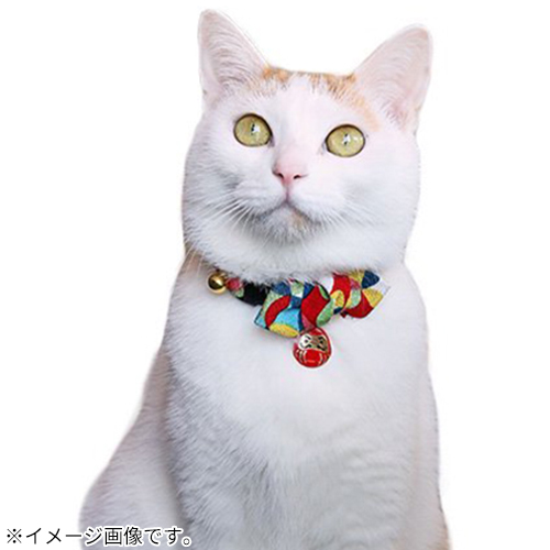 アモワークス 千客万来だるま カラー S レッド｜【ハンズネットストア】