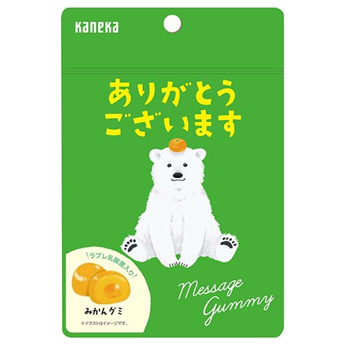 カネカ食品 メッセージグミ ありがとうございます みかん ※軽減税率