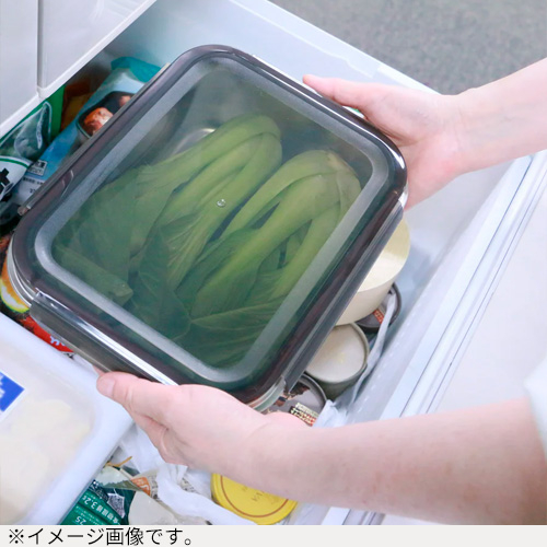 ののじ マジックコンテナ M（1300mL）｜【ハンズネットストア】