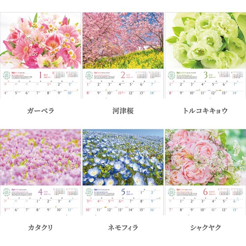 2026年版・壁掛】 写真工房 しあわせの花風水 C-12｜【ハンズ