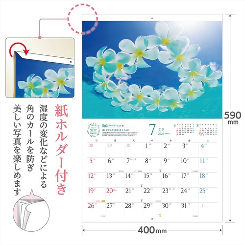 風分六抄、蓮葉の中の小さな太陽、希少な画集より、新品高級額、額装付 風分六抄、蓮葉の中の小さな太陽、希少な画集より、新品高級