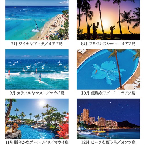 2026年版・卓上】 写真工房 卓上 ハワイ E-03｜【ハンズネットストア】