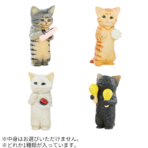 スタジオソータ（STUDIO SO-TA） 花房さくらのねこの音楽会｜【ハンズ
