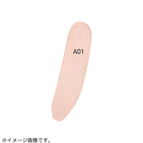 ヴィ・ディー・エル（VDL） カバーステイン パーフェクティング