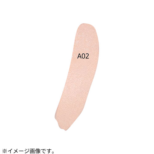 ヴィ・ディー・エル（VDL） カバーステイン パーフェクティング