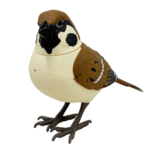 ティーケーエスケー（TKSK） 日本の野鳥 music bird スズメ｜【ハンズ