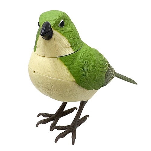 ティーケーエスケー（TKSK） 日本の野鳥 music bird メジロ｜【ハンズ