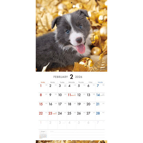 2026年版・壁掛】 ピクトワン（PICTWAN） ボーダー・コリー L版