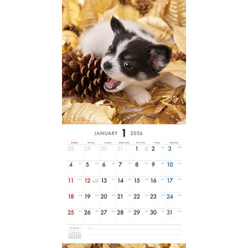 2026年版・壁掛】 ピクトワン（PICTWAN） チワワ L版 L008｜【ハンズ