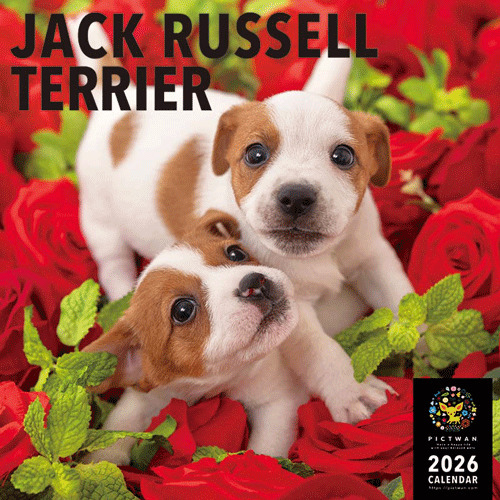 2026年版・壁掛】 ピクトワン（PICTWAN） ジャック・ラッセル・テリア
