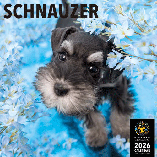 2026年版・壁掛】 ピクトワン（PICTWAN） シュナウザー L版 L022