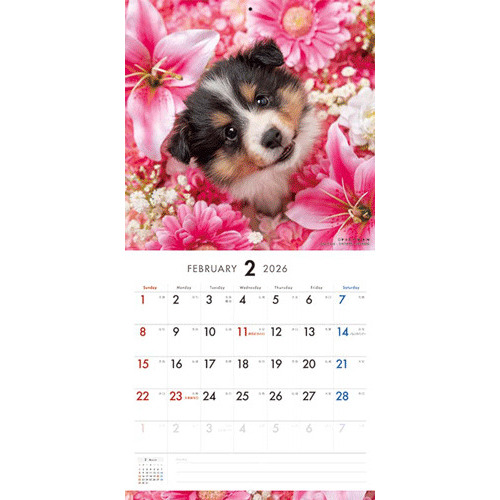 2026年版・壁掛】 ピクトワン（PICTWAN） シェットランド