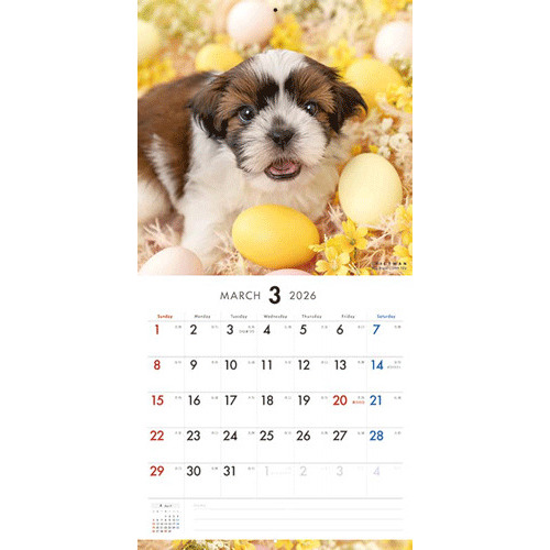 A・ヤウレンスキー、BLUMEN、海外版超希少レゾネ、新品額付 2026年版・壁掛】 ピクトワン（PICTWAN） シー・ズー L版 L025